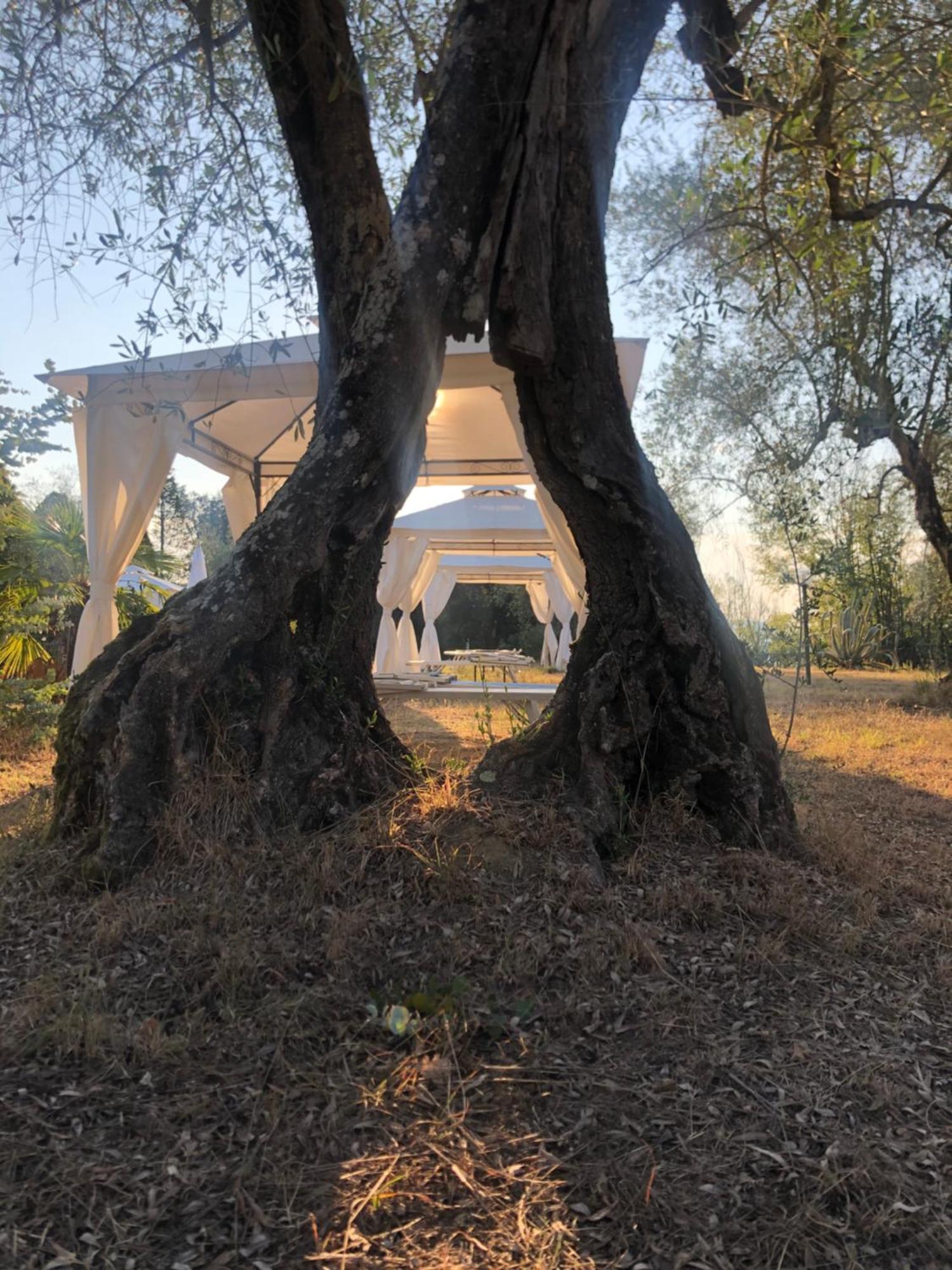La Casa D'Ambra Villa Torre A Castello Luaran gambar
